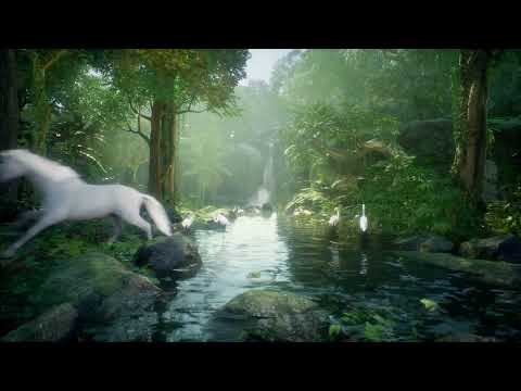 Forest Video Unreal Engine - Growth Marketing
