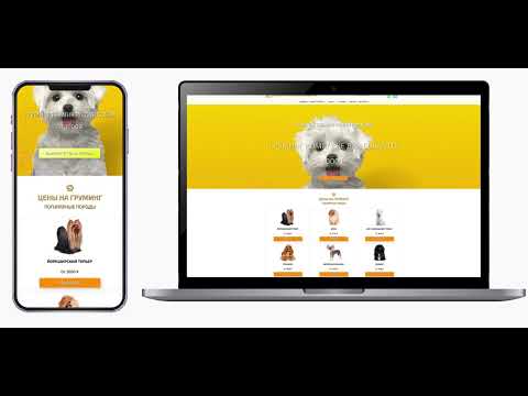Posicionamiento SEO Local y Diseño Web a Medida: Peluquería Canina - SEO