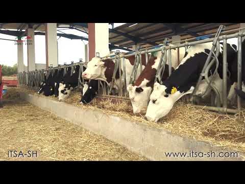 ITSA SH - analyses phisico-Chimique | Morocco 2030 - Producción vídeo