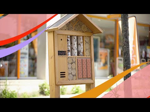 Ondernemersfonds Heerlen - Testimonial - Video Productie
