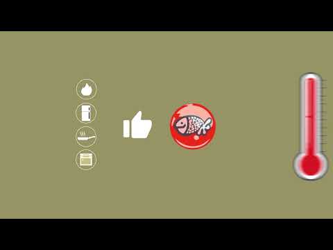 MOTION GRAPHICS EUROCAVIAR - Animación Digital