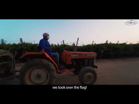 Cropex - Media Productin - Production Vidéo