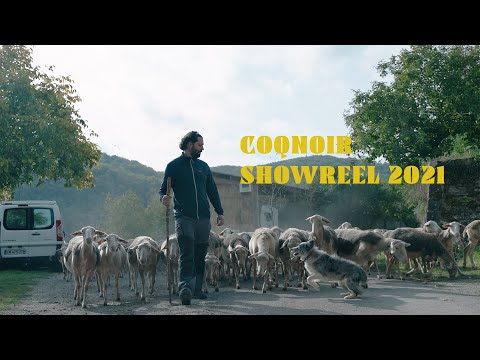 Showréel 2021 - Producción vídeo