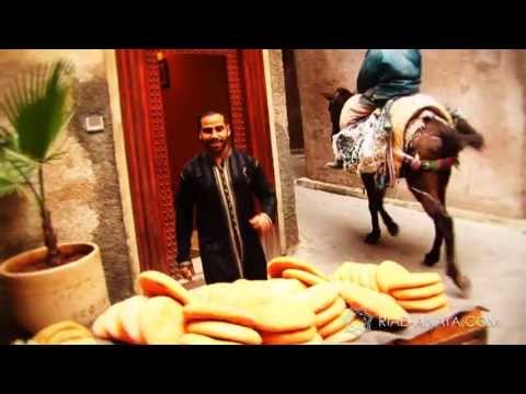 Riad ANATA - Content Strategy