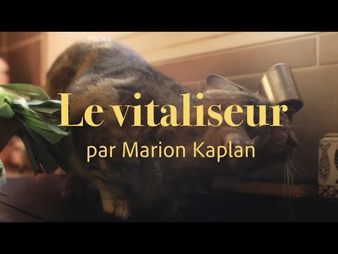 Vitaliseur - Campagne - Publicité