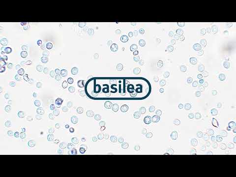 Rebranding für Basilea Pharmaceutica - Marketing