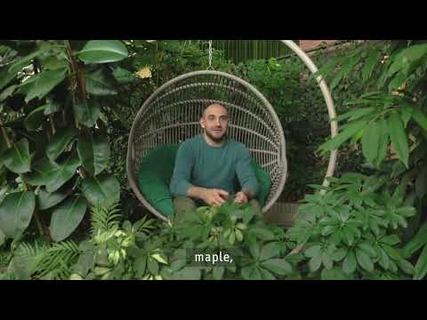 Employer Branding Video // Jooble - Communication corporate