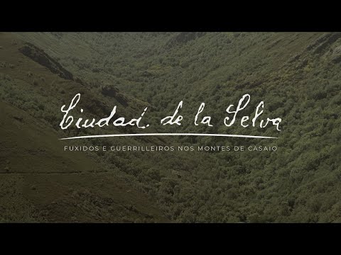 Ciudad de la Selva - Producción vídeo