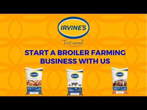 Facebook Content creation ( videos) for Irvines - Content Strategy