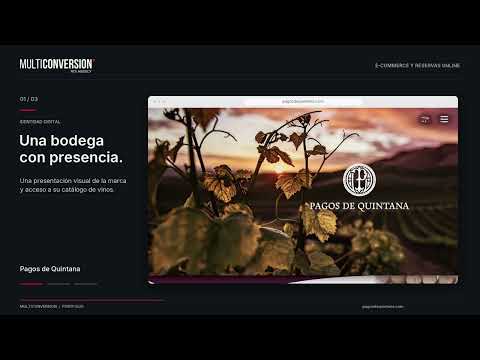 Pagos de Quintana: tienda online de vinos para Bodegas del Campo - Webseitengestaltung