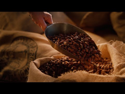 Goldhelm Erfurt - Imagefilm - Videoproduktion