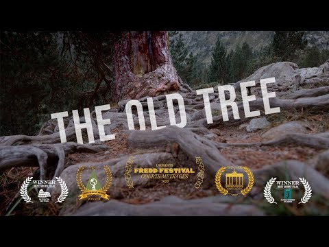 Le vieil arbre - Producción vídeo