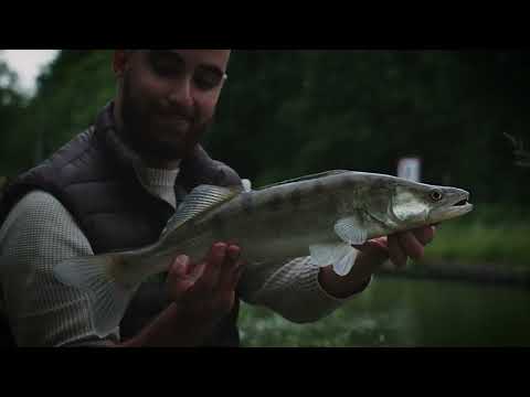 TERRES & EAUX - Street with Wesley - Außenwerbung