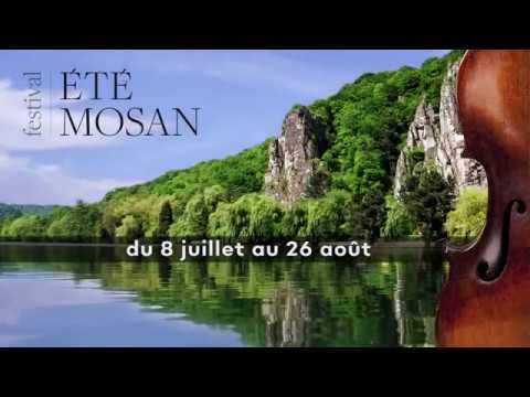 Motion design for a digital signage campaign - Video Productie