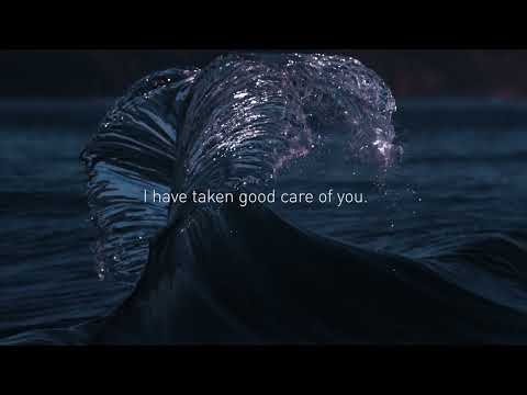 Film for the 2022 United Nations Ocean Conference - Video Production