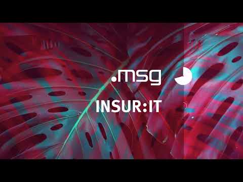 msg insur:it Rebranding - Grafische Identität
