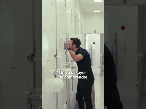 Présentation Mane - Réseaux sociaux