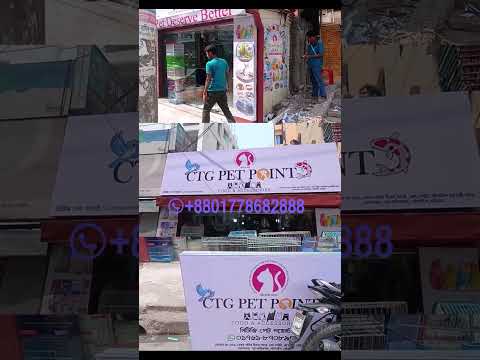 Sign Board Aluminum Profile Box Lighting Sign make & installations - Graphic Design