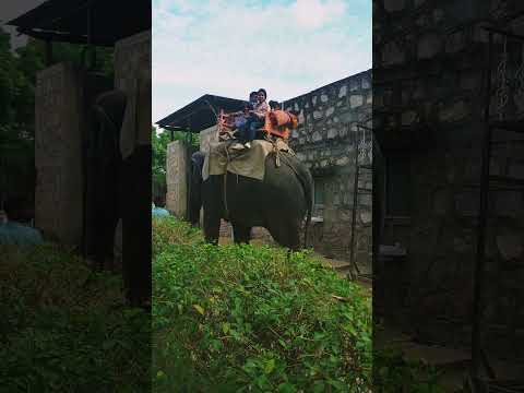 Elephant Ride - Außenwerbung